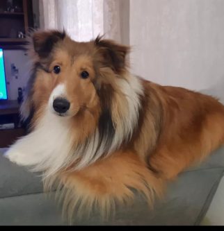 Tim