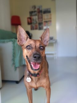 Jade