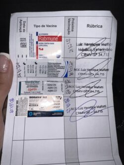 Bartholomeu Bonifácio