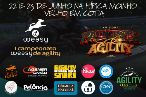 1º Campeonato WEASY de Agility