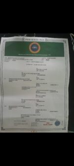 Fióti