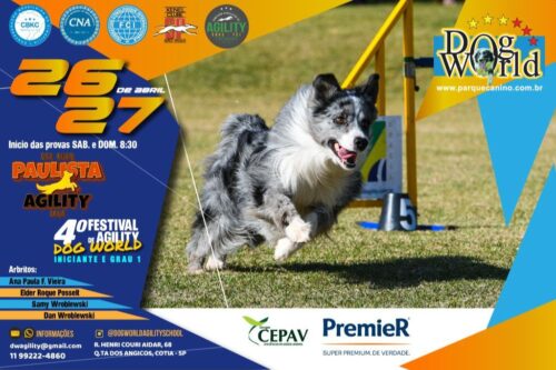 4º Festival Dog World