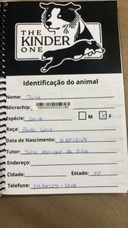 Jolie