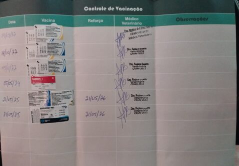 Gol