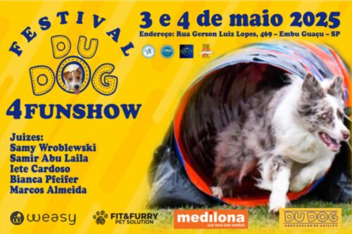 Festival Dudog – 4 Fanshow