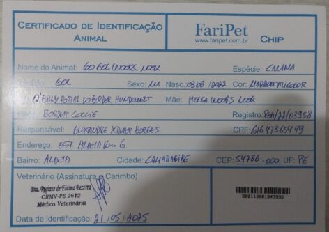 Gol