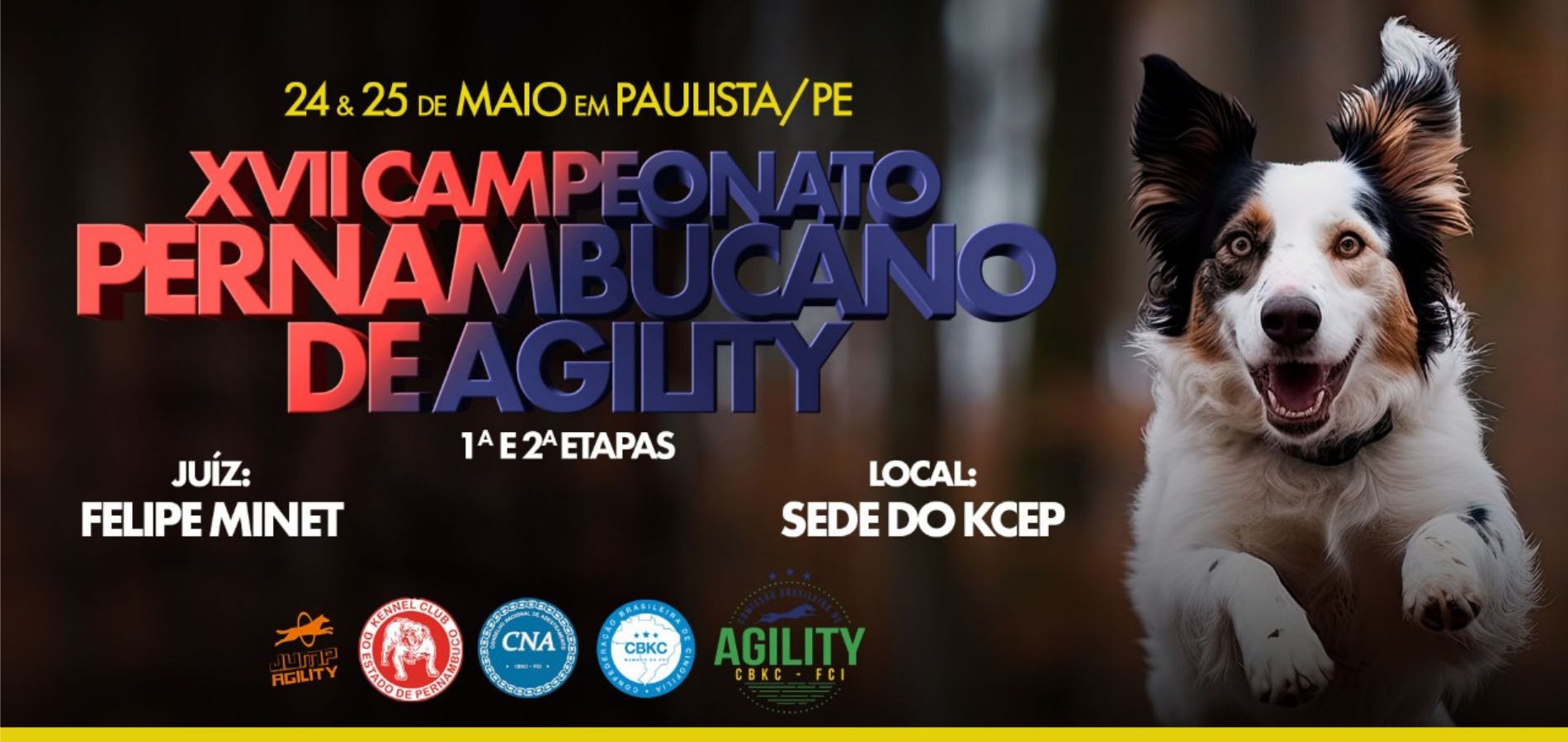 Brasil Agility