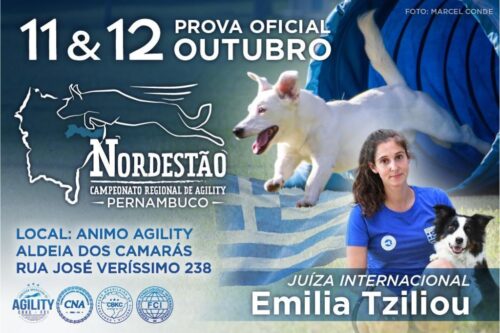 Nordestão – Campeonato Regional de Agility – Pernambuco
