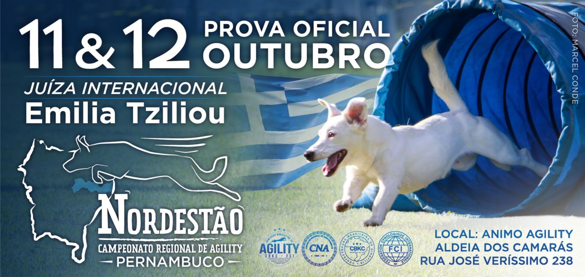 Brasil Agility