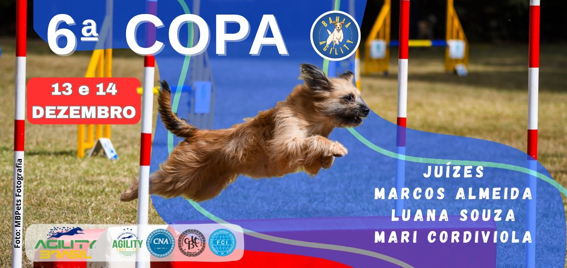 Brasil Agility