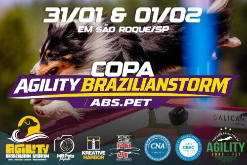 4ª Copa Agility Brazilianstorm – 1ª e 2ª Etapas