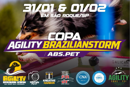 4ª Copa Agility Brazilianstorm – 1ª e 2ª Etapas
