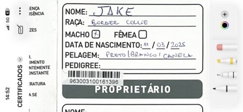 Jake