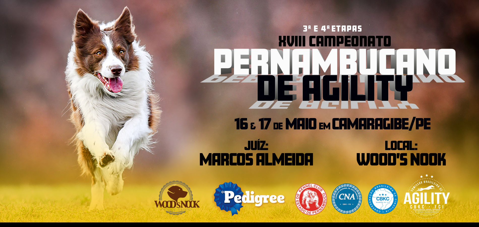 Brasil Agility