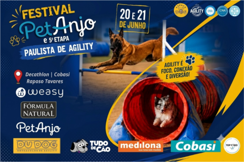 Festival Pet Anjo