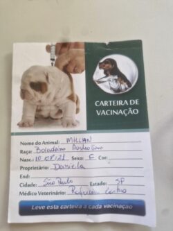 Millan