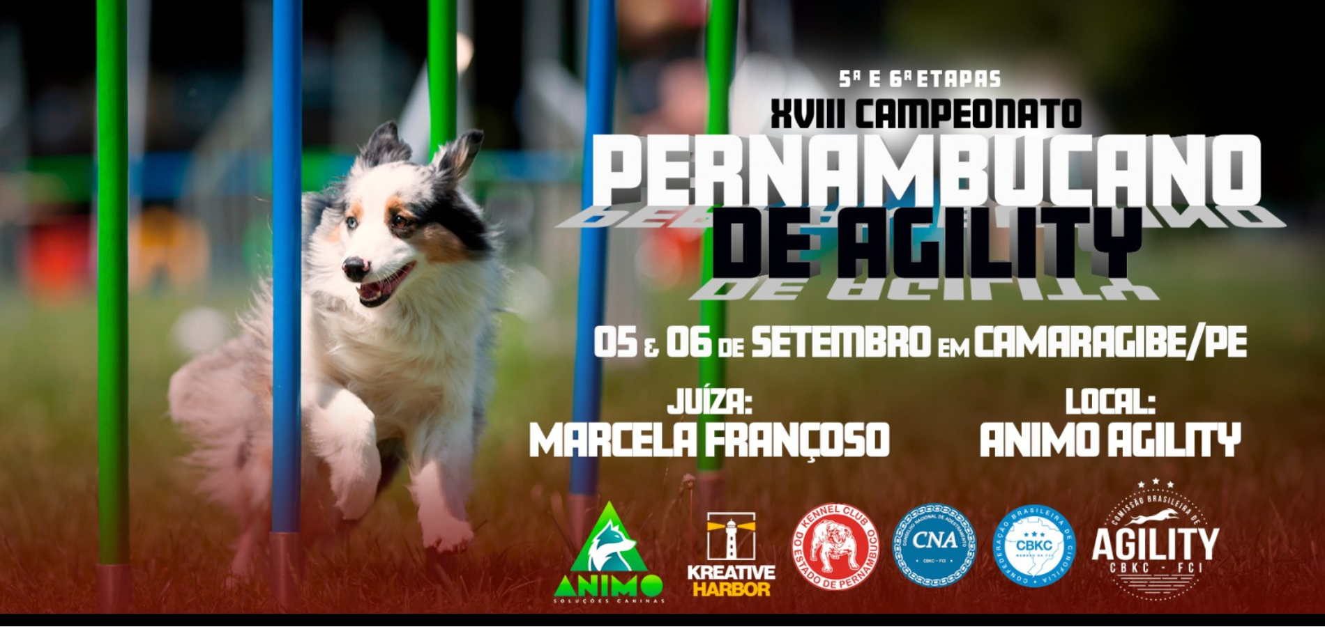 Brasil Agility