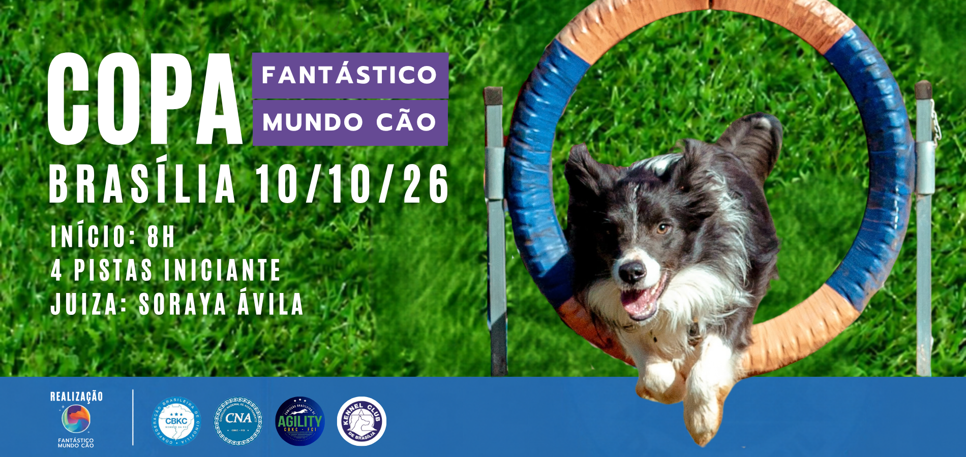 Brasil Agility