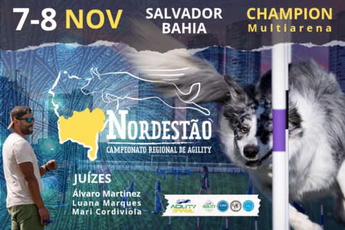 Nordestão de Agility