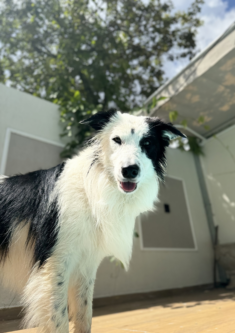 Zoe